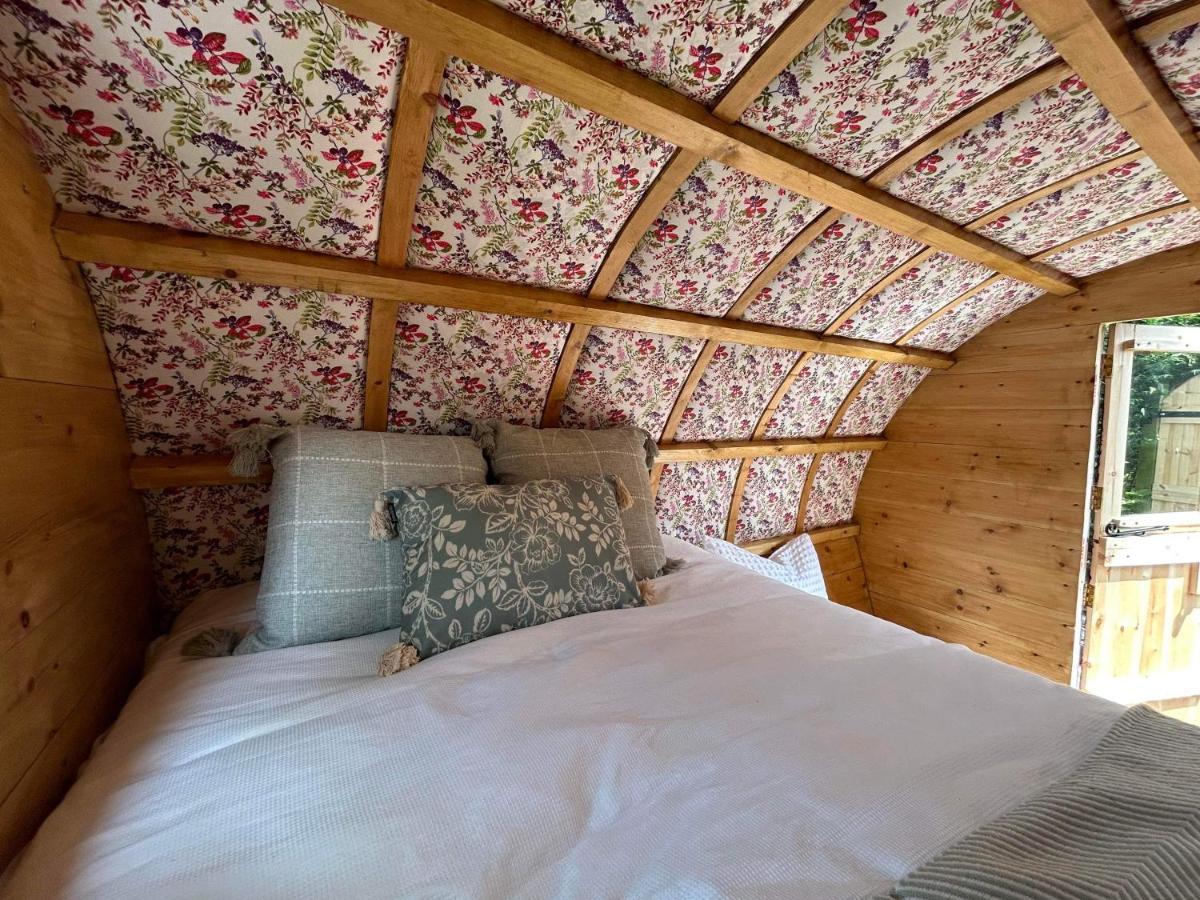 Campsite Glamping