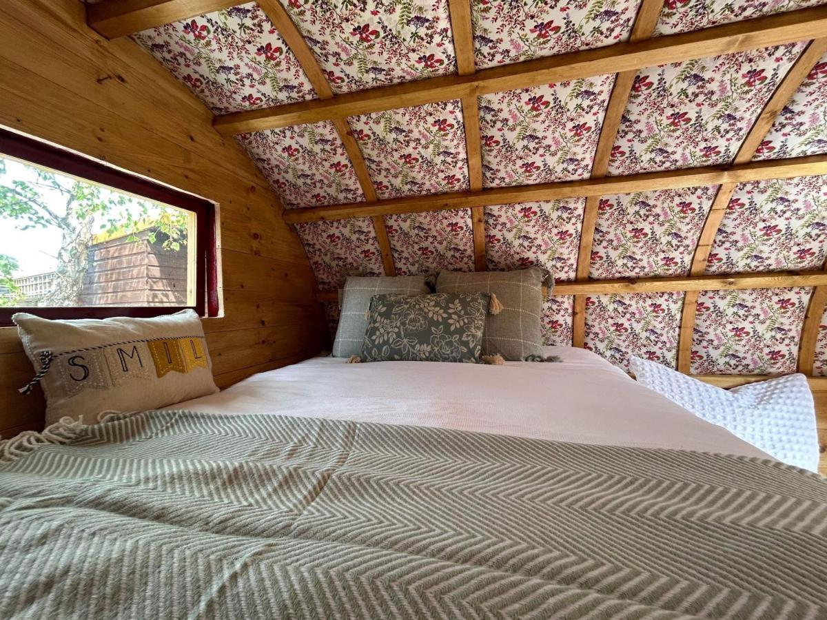 Glamping Campsite Alnmouth